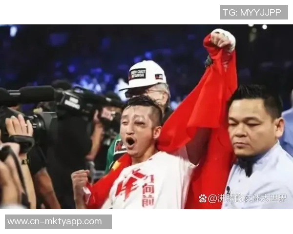 边茂富与柳海龙的巅峰对决谁将成为拳坛新王者的传奇之路